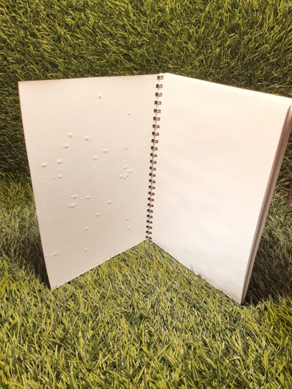 Eco Essentials Combo - Image 6