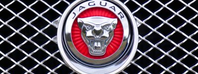 Close-up of Jaguar car emblem on a metallic chrome grille with a red background.